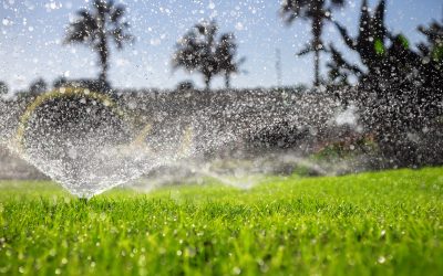 Impianti di Irrigazione a Venezia